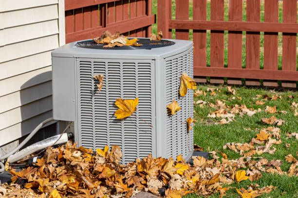Best HVAC Companies Near Me  in Spring Lake Park, MN